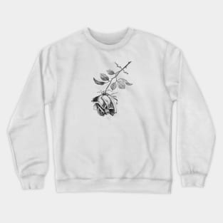 Black Rose Illustration Crewneck Sweatshirt